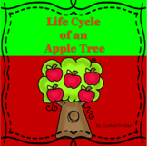 Life Cycle of an Apple Tree Interactive Sequence for Remot