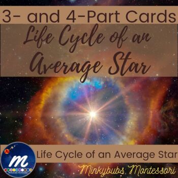 Preview of Life Cycle of an Average Star Montessori Story of Creation 3 Part 4 Part Cards