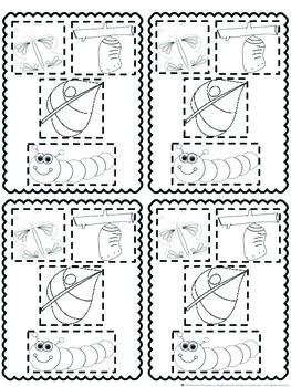 Life Cycle of an Insect Complete Set CCSS by Magnifying the Science