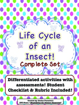 Preview of Life Cycle of an Insect Complete Set CCSS