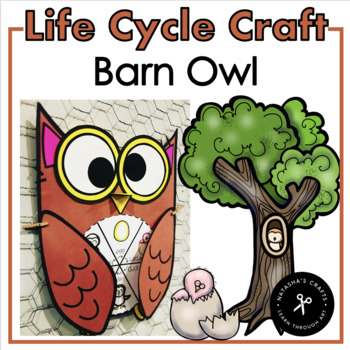 Preview of Owl Life Cycle Craft