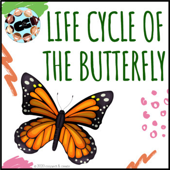 Preview of Life Cycle of the Butterfly – Google Slides – Printable Included