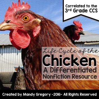 Life Cycle of the Chicken: A Differentiated Nonfiction Resource for 3rd