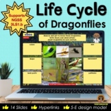 Life Cycle of the Dragonfly Digital Interactive Notebook f