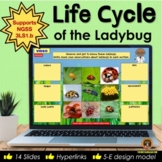 Life Cycle of the Ladybug Digital Interactive Notebook for