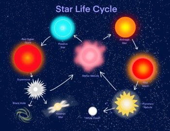 Life Cycle of the Star - Astronomy by Jeannie Teacher | TPT