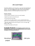 Life Cycle project Letter