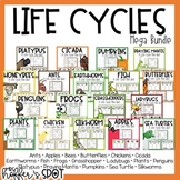 Life Cycle Bundle