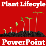 Life Cycle of a Plant | PowerPoint Activity Kindergarten 1