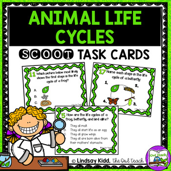 Preview of Life Cycles Unit Animal Life Cycle Task Cards
