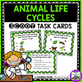 Life Cycles Unit Animal Life Cycle Task Cards