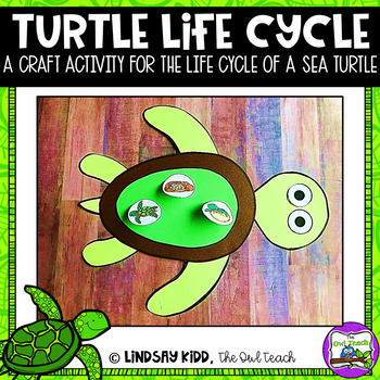 Life Cycles Unit Sea Turtle Life Cycle Craft By The Owl Teach Tpt