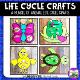 Life Cycles Unit Animal Crafts BUNDLE