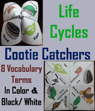 Plant and Animal Life Cycles Activity (Cootie Catcher Fold