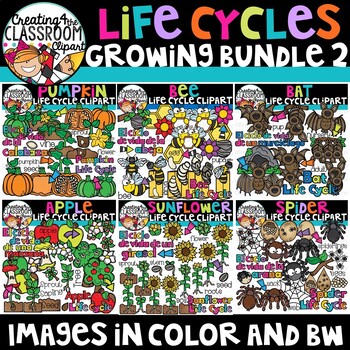 Preview of Life Cycles 2 Clipart Growing Bundle {Life Cycles Clipart}