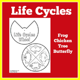 Animal Life Cycles Second Grade Worksheets & Teaching Resources | TpT