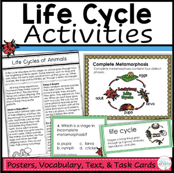 Preview of Animal Life Cycles Unit