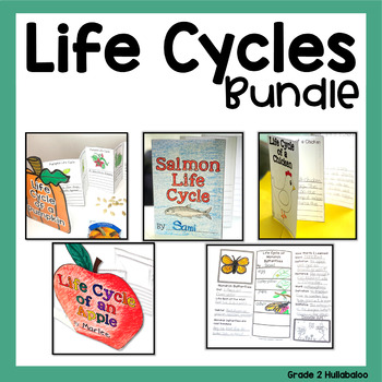 Preview of Life Cycles: Chicken, Salmon, Monarch, Apple, and Pumpkin Life Cycle BUNDLE
