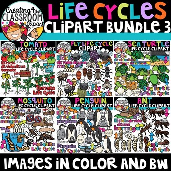 Preview of Life Cycles 3 Clipart Bundle {Life Cycles Clipart}