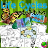 Life Cycles Activities