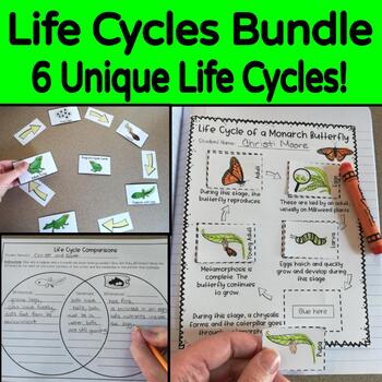 Preview of Life Cycles Activities Bundle (NGSS 3-LS1-1)