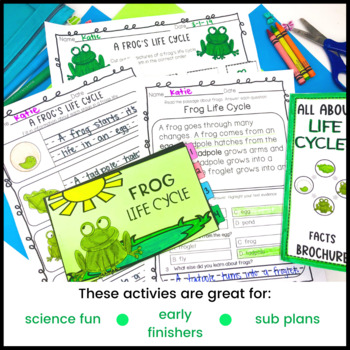 Frog and Butterfly Life Cycle Worksheets | First and Second Grade