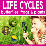 Life Cycles Activities for Butterflies, Frogs & Plants