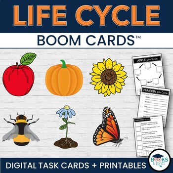 Preview of Life Cycles Apple, Pumpkin, Plant, Butterfly BOOM CARDS + Printable Activities