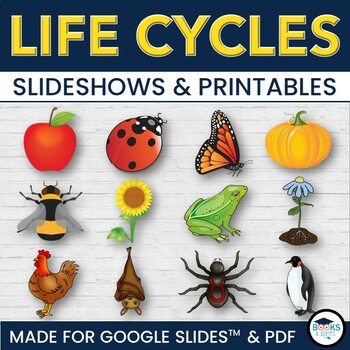 Preview of Life Cycle: Apple, Pumpkin, Bee, Penguin and more:  Slideshows + Printables