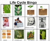 Life Cycles BINGO 3-LS1-1 Unique & Diverse Life Cycles