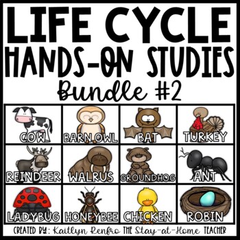 Preview of Life Cycles BUNDLE #2 | Centers Activities Worksheets | PreK Kinder 1st Science