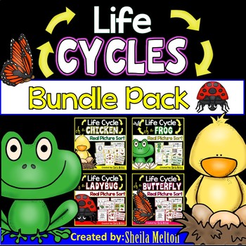 Preview of Life Cycles BUNDLE PACK (Butterfly, Frog, Chicken, Ladybug)