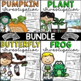Life Cycles BUNDLE: Plant, Pumpkin, Butterfly & Frog!