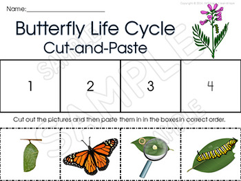Life Cycles BUTTERFLY LIFE CYCLE Unit with Craftivity by Just Wonderful