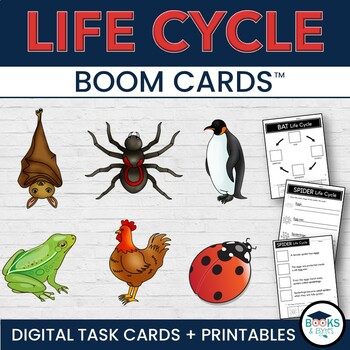 Preview of Life Cycles Bat, Spider, Penguin, Frog (+ more) BOOM CARDS + Printable Activity