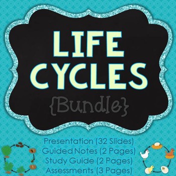 Preview of Life Cycles Unit
