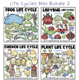 Life Cycles Mini Bundle 2 Chicken Frog Ladybug and Plants 