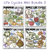 Life Cycles Bundle 3 Clip Art Pumpkin Salmon Turkey and Ap