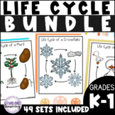 Life Cycle Bundle for the Entire Year - Kindergarten and 1