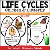 Life Cycles Bundle Chicken and Butterfly