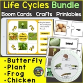Life Cycles Bundle Plant Butterfly Chicken Frog (Animal) R