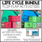Life Cycles Bundle - Frogs, Butterflies, Chickens, Ladybug