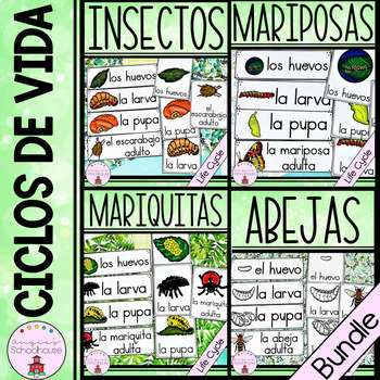 Preview of Life Cycles Bundle in Spanish Los ciclos de vida