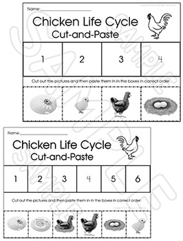 Life Cycles CHICKEN LIFE CYCLE Unit with Craftivity by Just Wonderful