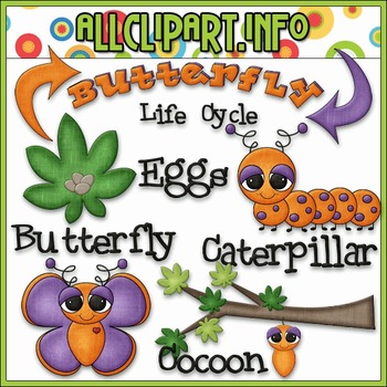 Preview of TPT EXCLUSIVE BUNDLE - Life Cycles Clip Art - Butterfly