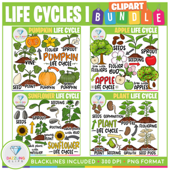 Preview of Life Cycles Clip Art GROWING BUNDLE!