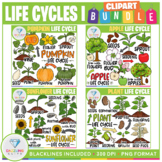 Life Cycles Clip Art GROWING BUNDLE!
