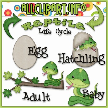 Preview of TPT EXCLUSIVE BUNDLE - Life Cycles Clip Art - Reptiles