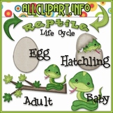 TPT EXCLUSIVE BUNDLE - Life Cycles Clip Art - Reptiles