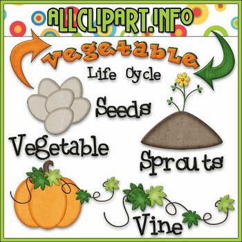 Preview of TPT EXCLUSIVE BUNDLE - Life Cycles Clip Art - Vegetables